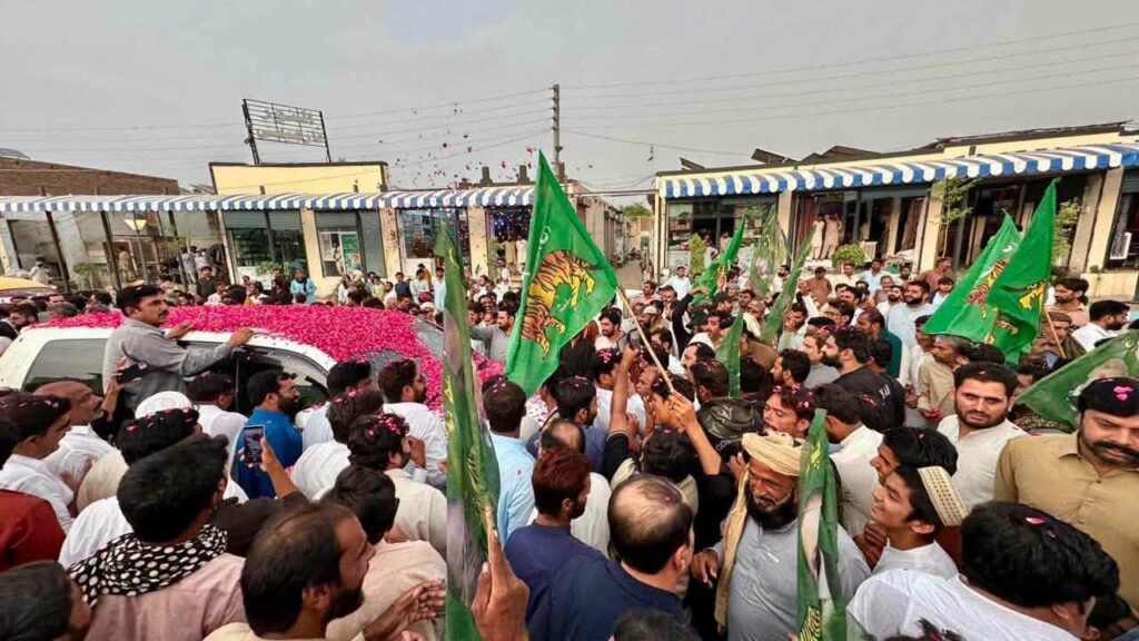 pmln
