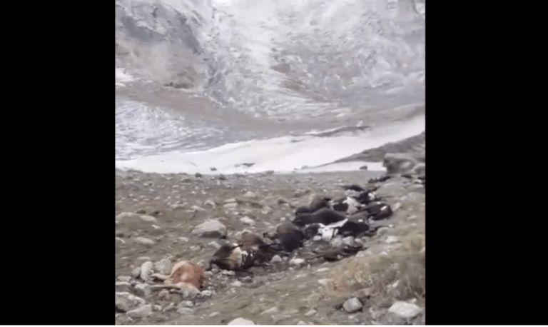 glacier burst